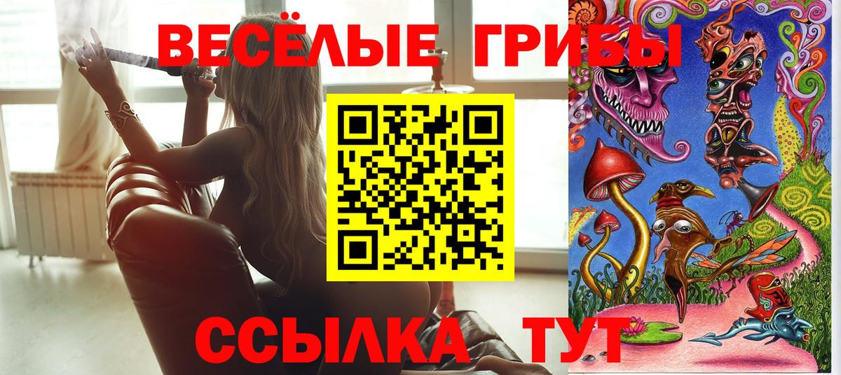 Псилоцибиновые грибы мухоморы Елизово
