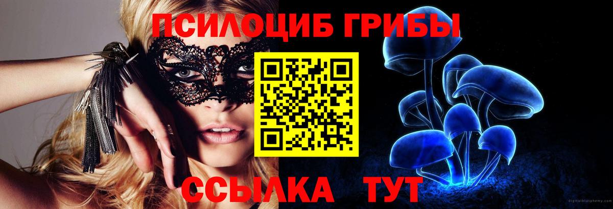 Псилоцибиновые грибы ЛСД  Псилоцибиновые грибы MAGIC MUSHROOMS  Елизово  Вход с VPN 