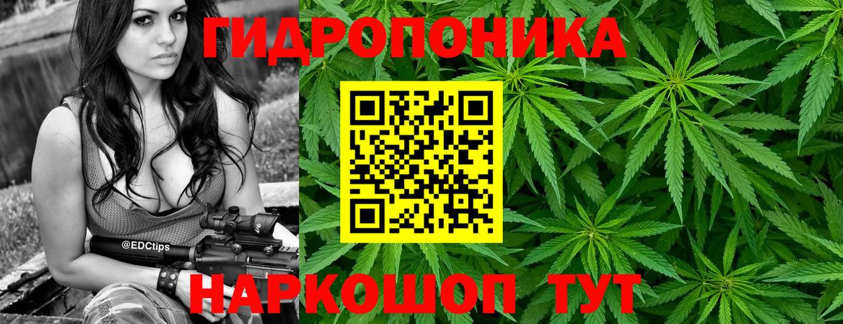 Марихуана семена  Бошки марихуана план  Шишки марихуана семена  Вход с VPN  Елизово 